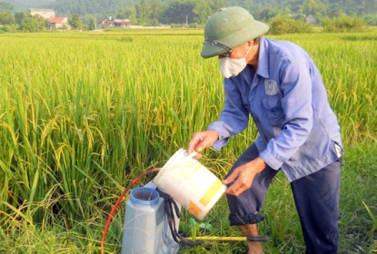giai-phap-cham-lua-hieu-qua-voi-san-pham-tu-vat-tu-nong-nghiep-sau-phuc
